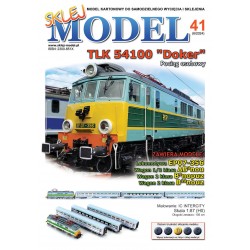 NR 41 - TLK "DOKER" Pociąg pospieszny